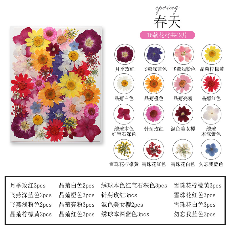 Doğal Bitki Çiçek ve Yaprak Se - Dried Flower Bookmark incelemesi ve fiyatı