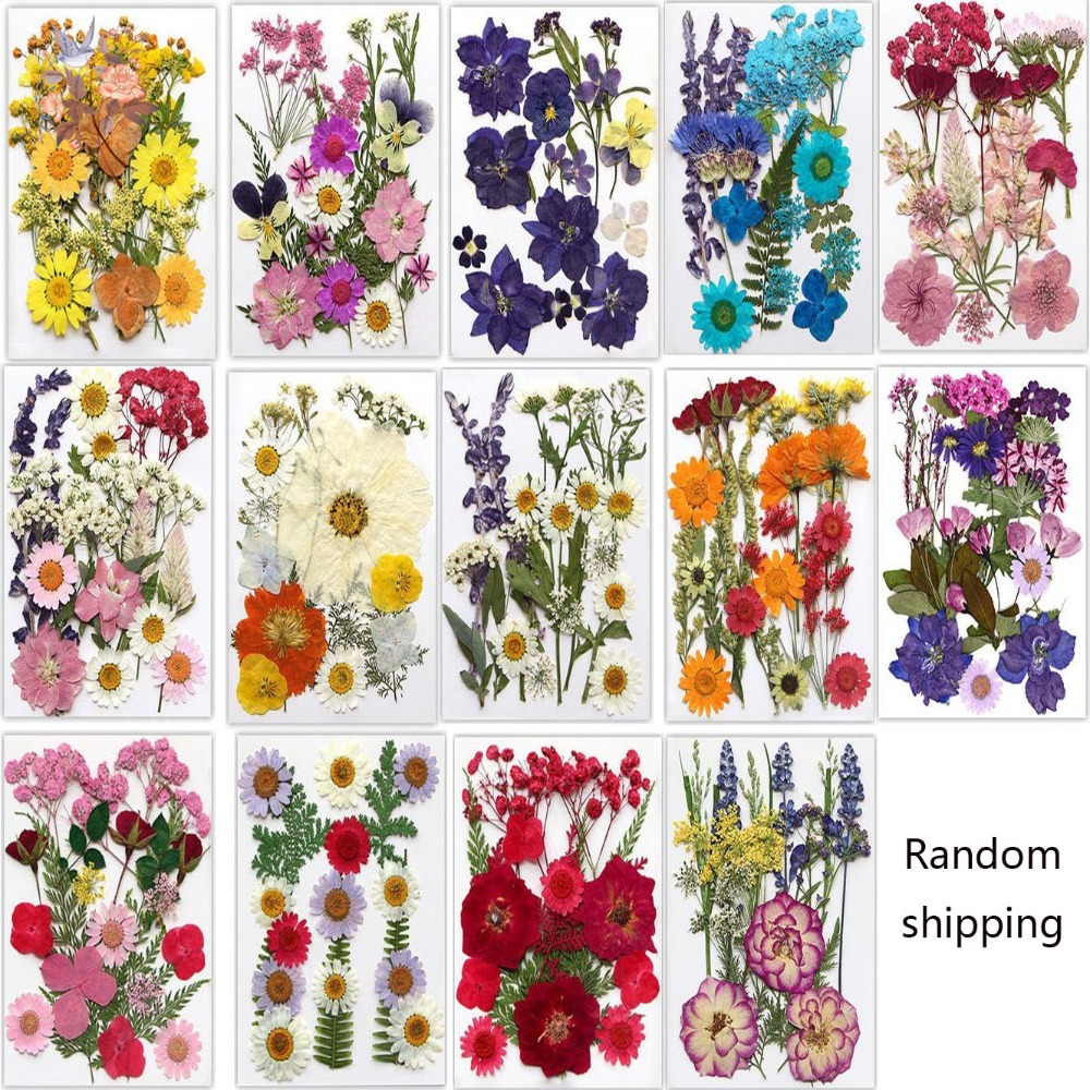 El Yapımı Preslenmiş Kurutulmu - Dried Flower Bookmark incelemesi ve fiyatı