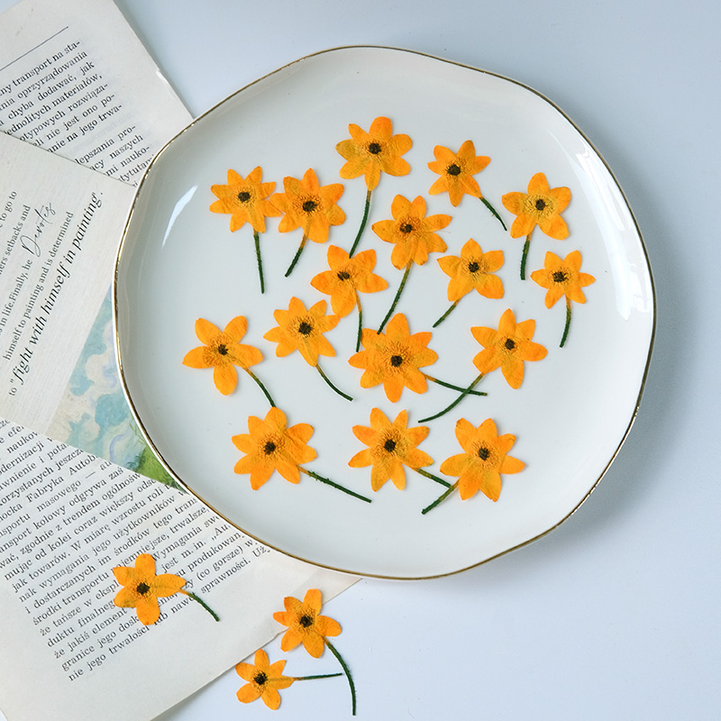 5-7 cm/16 adet, gerçek anemon  - Dried Flower Bookmark incelemesi ve fiyatı